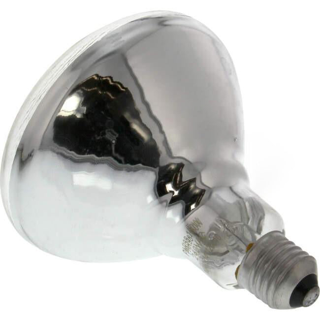 Nelson 150 Watt PAR38 Lamp With Edison Screw Connection
