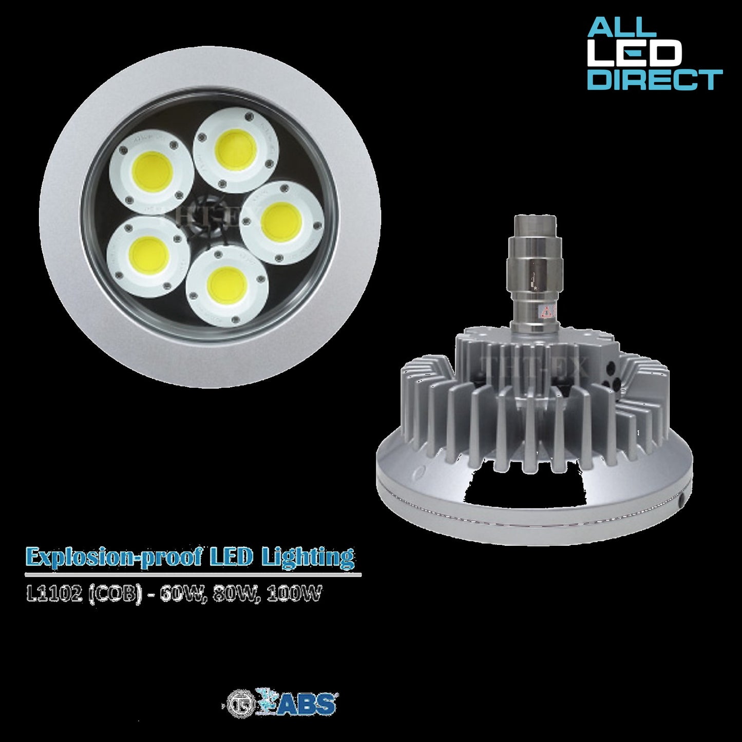 Explosion Proof LED Lighting L1102 100W COB