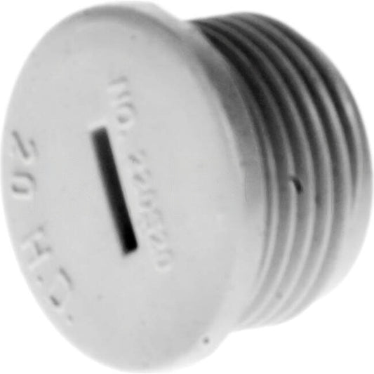 Clipsal 20mm PVC Screwed Conduit Plug