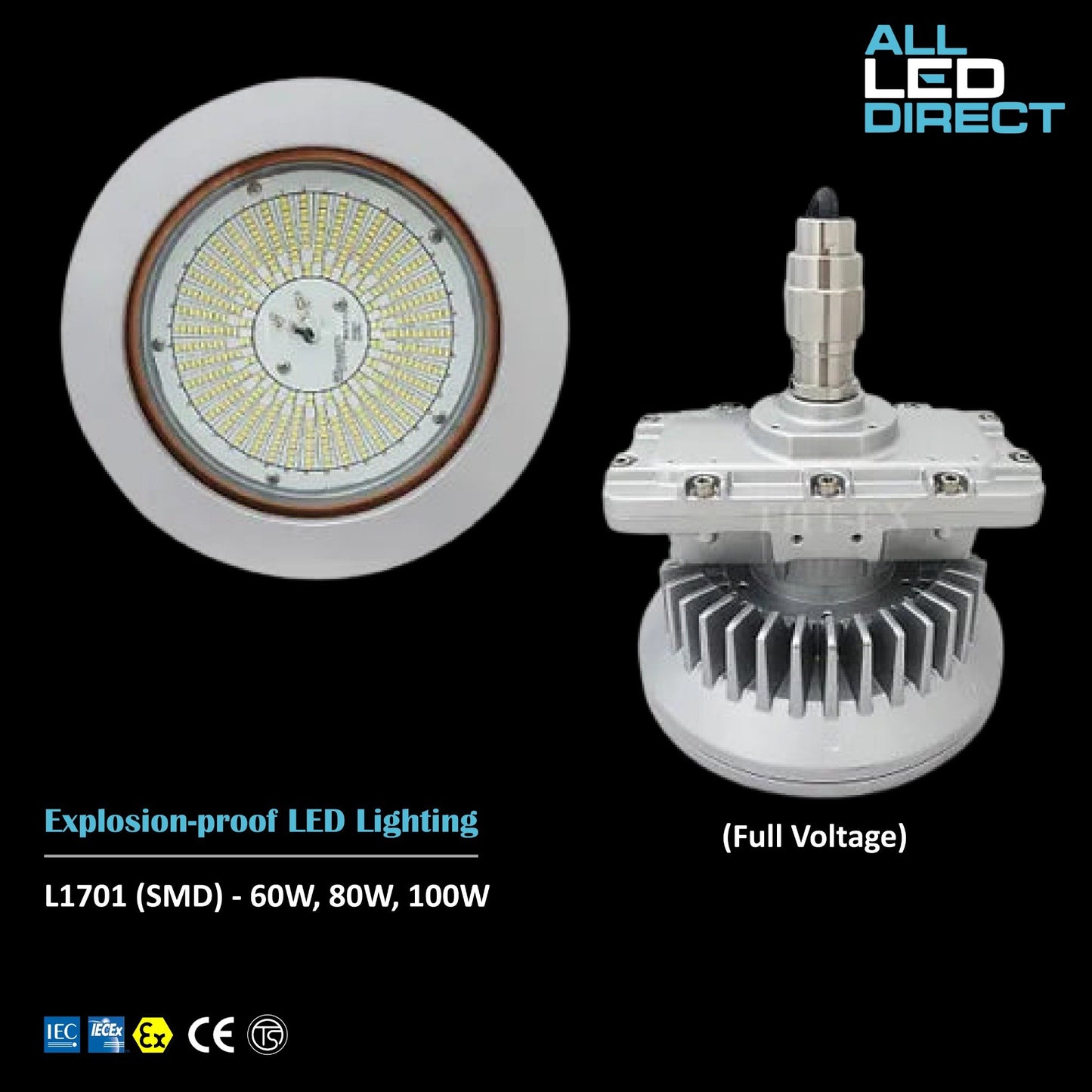 Explosion-proof LED Light L1701 SMD