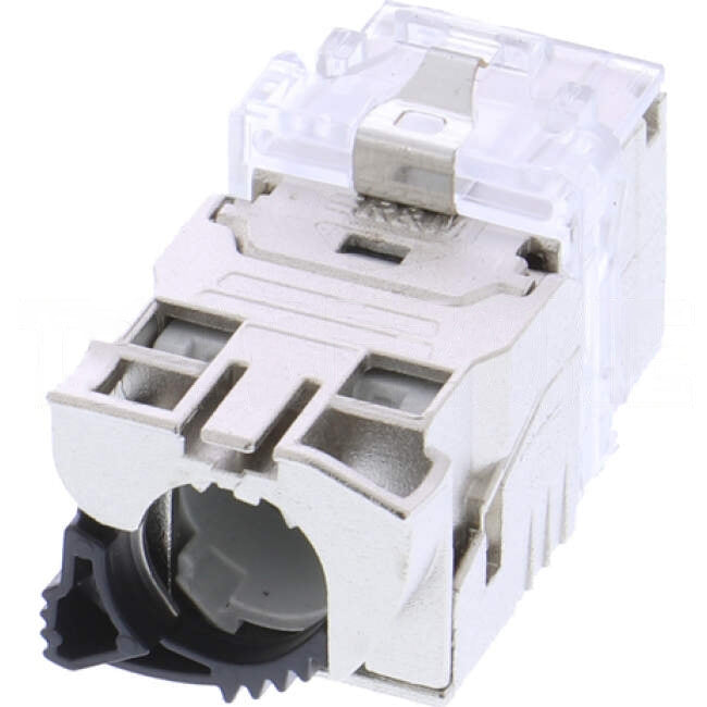 Reichle & De-Massari CAT6A Shielded Keystone Style JACK