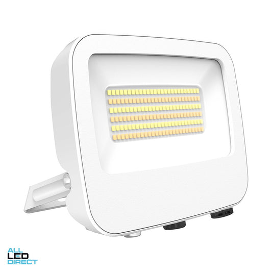 Vibe 20/30/50 W Adjustable LED Floodlight White 3000/4000/6000 K ALL LED Direct