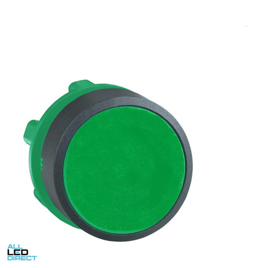 Schneider Pushbutton Head 22mm Plastic Green